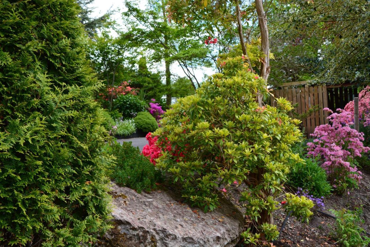 The Grove Guest house Killorglin