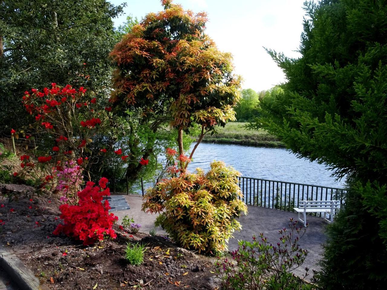 The Grove Guest house 4*